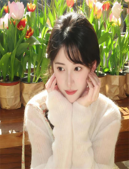 追剧全攻略：《南秘书还没心动》的审美特点与艺术成就——理解人物的深度分析