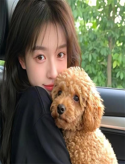 从文化视角看艾莲娜公主 第一季：文化传播与社会影响的思考 揭示电影的文化价值与意义